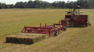 Hay Master